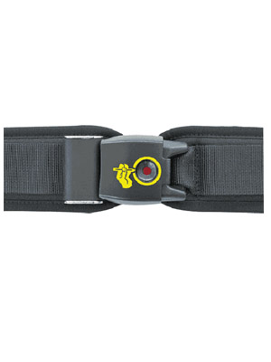 seat belt buckle security cover