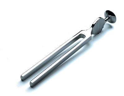 Tuning Fork Stainless Steel (256)