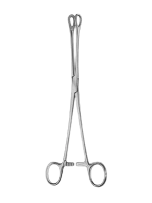 Foerster Ballenger Forcep Straight, Serrated Sterile, 25cm Stainless Steel