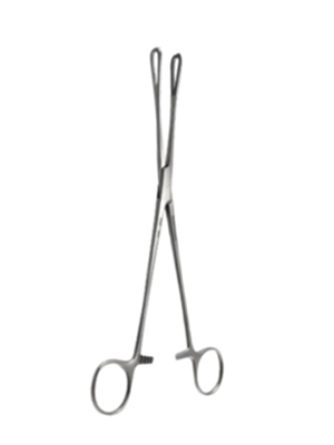 Rampley Sponge Holding Forceps, Sterile, Stainless Steel 25 cm